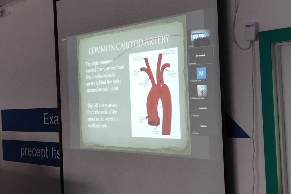 Guest Lecture on Blood supply of Head and Neck Topic