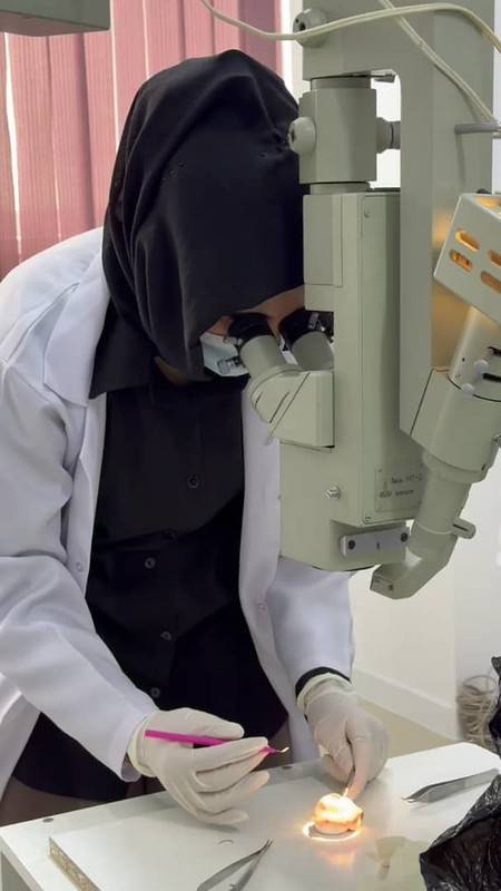 Practical training: wet lab club for ophthalmic surgery at ADAM University